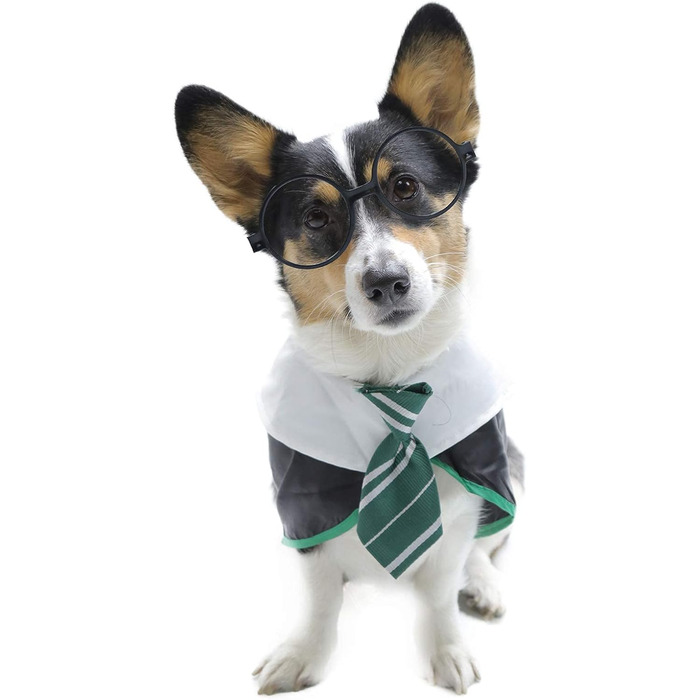 Сорочка для собак на Хелловін Impoosy: костюм кота-чаклуна, мила та м'яка сорочка з окулярами (розмір M, обхват шиї 35,6 см), чорний