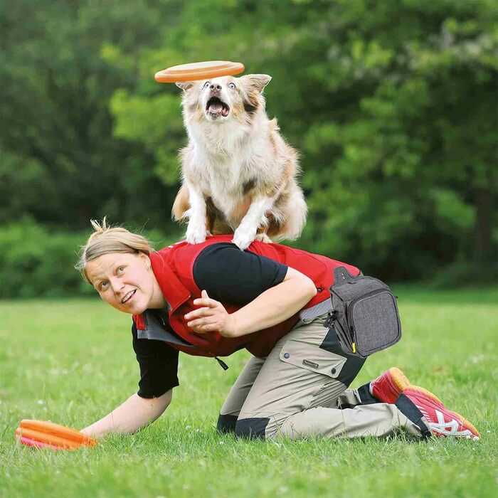 PETCUTE Сумка для тренування собак, міцна сумка для ласощів, сумка для перекусів з диспенсером для відходів, сумка для ласощів з регульованим плечовим ременем, поясний ремінь та кліпса (світло-сіра)