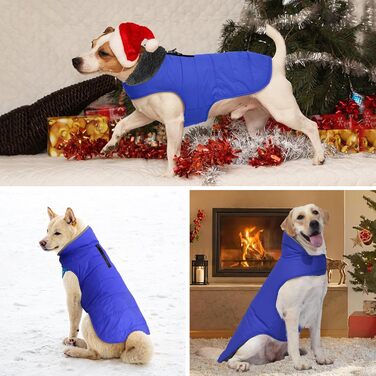 Зимовий теплий одяг для собак - водонепроникна куртка для холодної погоди, комфортна тепла одіяг для цуценят, собак, малих, середніх та великих собак (Блакитний, розмір 2XL)