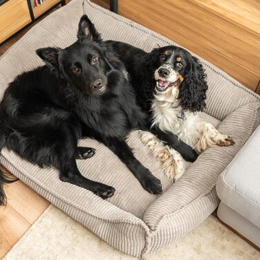 4L Textil М'яке собаче ліжко з корду Hugo Premium-LINE, ортопедичне для маленьких собак, з memory foam, бежеве, 60x40 см