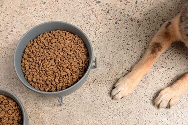 Підставка для годівлі собак Waggo з мискою - керамічна миска, підставка з металу, піднята годівниця для тварин (маленька, матово-біла)