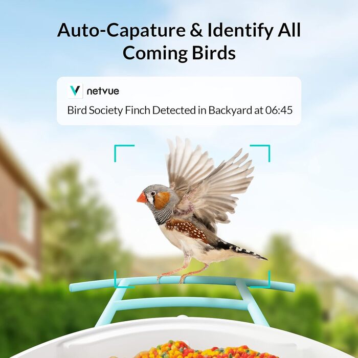 NETVUE Birdfy розумна годівниця для птахів з камерою, Wi-Fi, сонячною панеллю та безкоштовною AI-ідентифікацією птахів, автоматичний відеозапис, синя