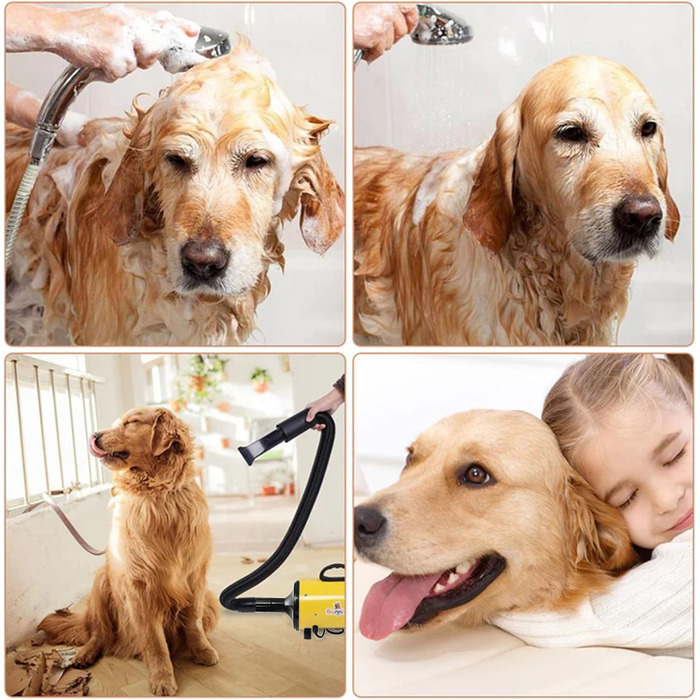 Професійний фен для собак 2800W, тихий, з 4 насадками та шлангом, для грумінгу