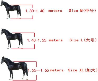 Гетри для коней Merauno® 4 шт. Комплект гетрів для передніх та задніх ніг з жорсткою оболонкою та клямками для жінок та чоловіків. Міцні, еластичні чоботи для сухожиль, класичні (L, синій)