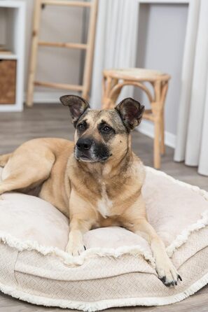 Ліжко для собак та котів TRIXIE Kuscheliges Boho, овальне, 100x85 см, бежеве - знімний, пральний чохол