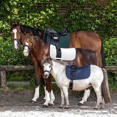 Підіймяник WALDHAUSEN Felix, etty (синій, SH)