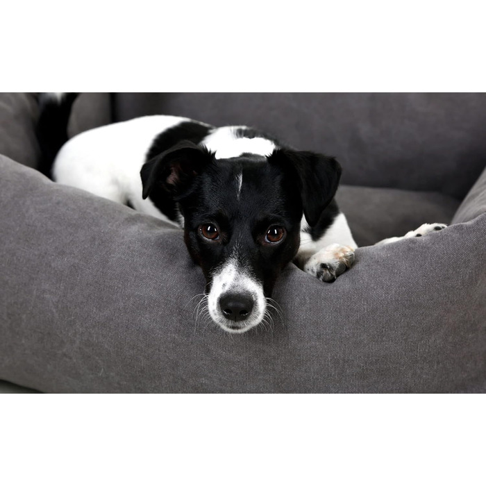 Кербл Pet Lucca Сіре, м'яке ліжко для домашніх тварин (85x110 см)