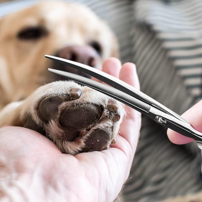 Ножиці для грумінгу собак та котів DONGKER, 7 дюймів, нержавіюча сталь