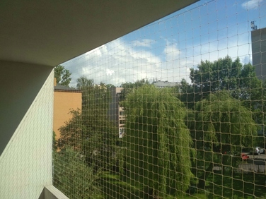 Захисна сітка на балкон та вікна від голубів, птахів та для котів, 3х6 м