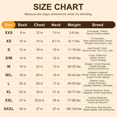 Теплий пуховик з капюшоном для собак середніх та маленьких порід від BEAUTYZOO, рожевий, з кишенями