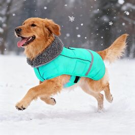 колір: зелений