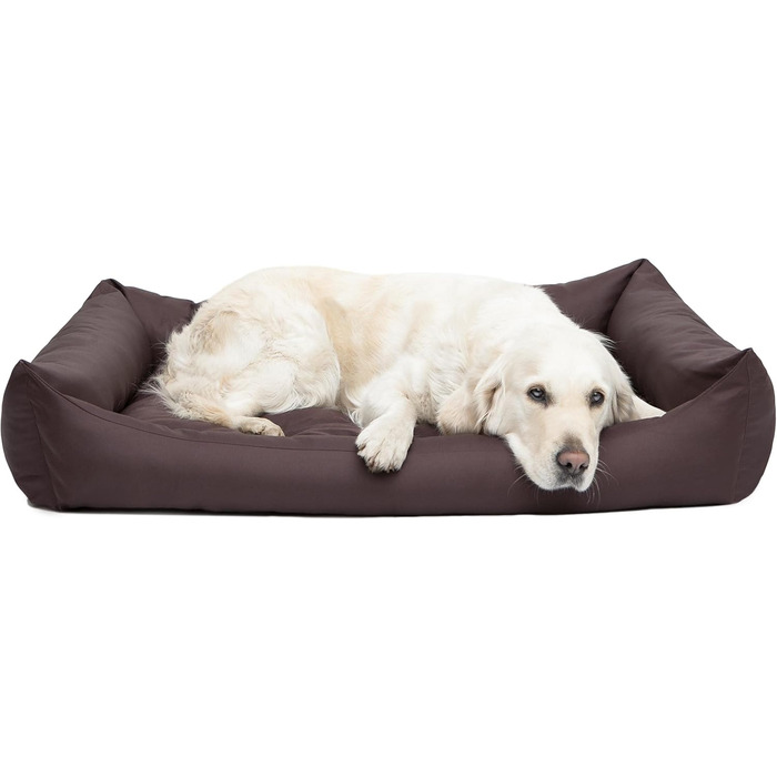Крісло-ліжко для собак, м'яке лежання, крісло-кошик для тварин, 82 x 60 см, чорний колір, еко-жулль (XXL, коричневий)