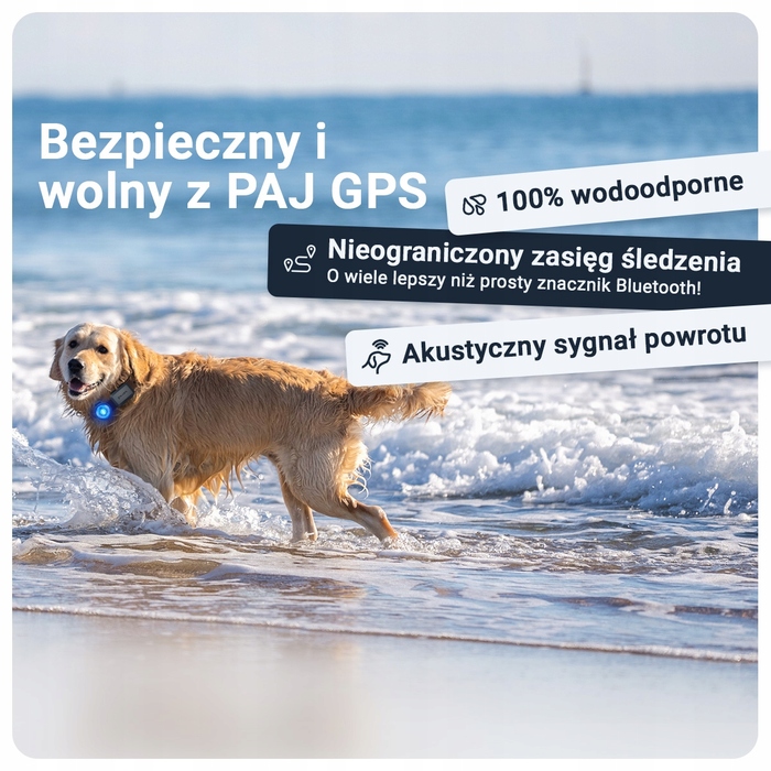 GPS-трекер для собак PAJ 4G Mini з функцією Alarm Strefy та підпискою на 2 роки