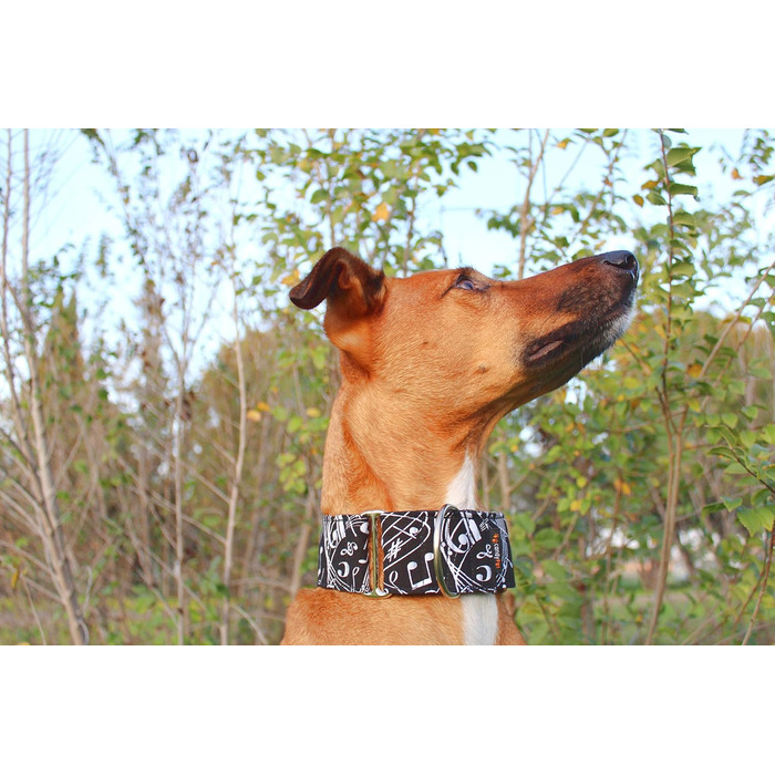 Нашийник для собак CandyPet® Martingale Music, S, ширина 4 см, розмір шиї 25-35 см