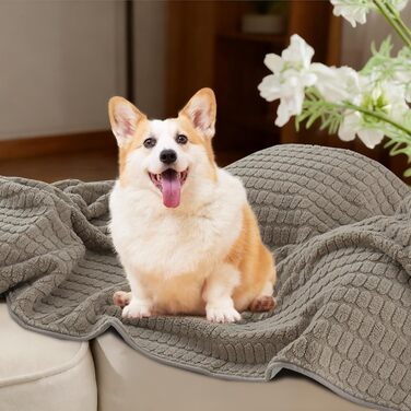 Водонепроникний плед для собак та котів H.Versailtex, 80 x 100 см, пісочний колір