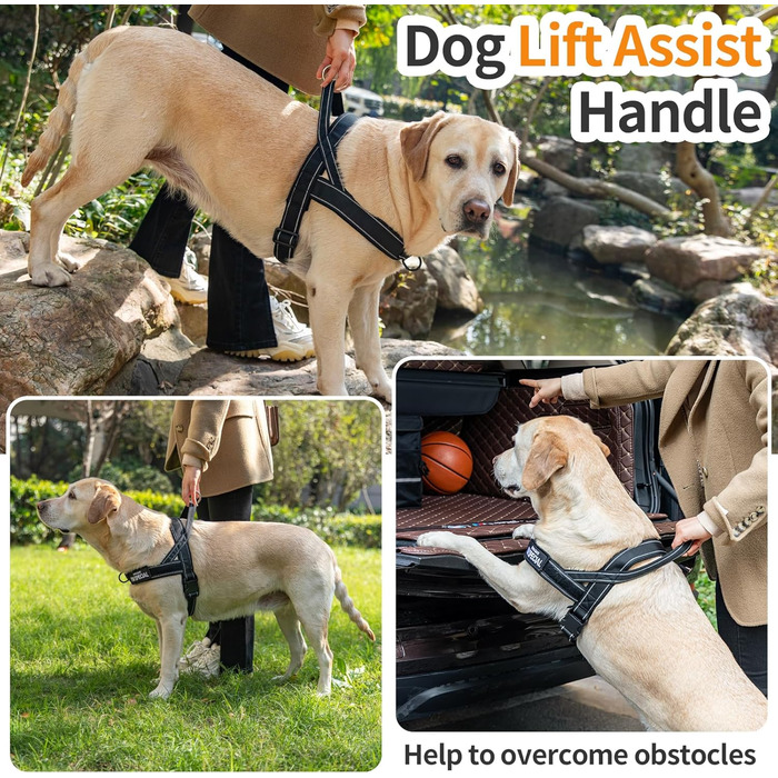 Шлейка для собак Eeyfarog No Pull без ривка, для малих та середніх порід, чорна, регульована, світловідбиваюча (M, обхват грудей 53–70 см)