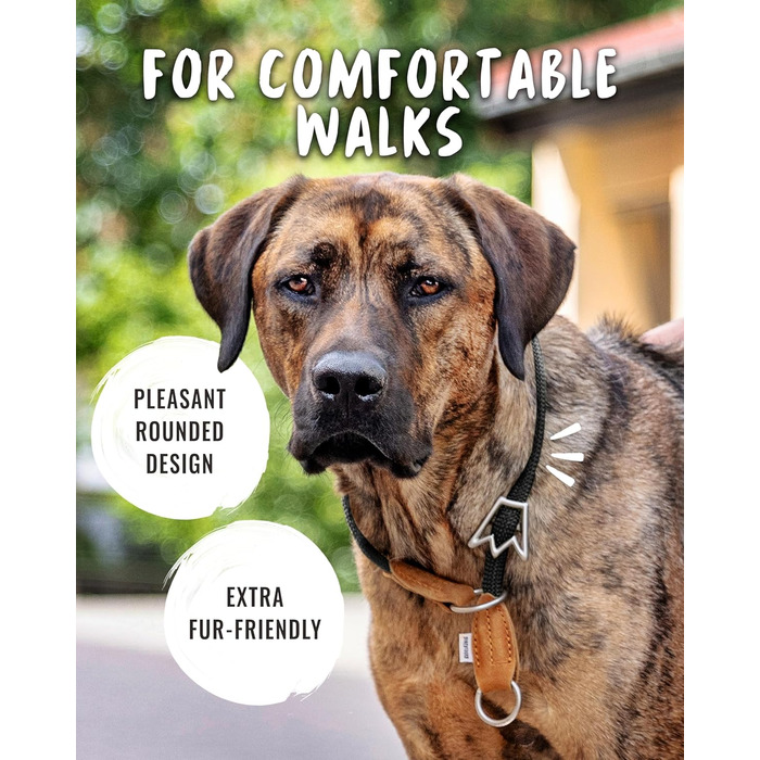 Нашийник для собак Rudelkönig Emma - Елегантний нашийник-стоп для собак з шкіри та нейлону - ø 12 мм - Зручний навчальний нашийник для великих собак (6, Чорний)