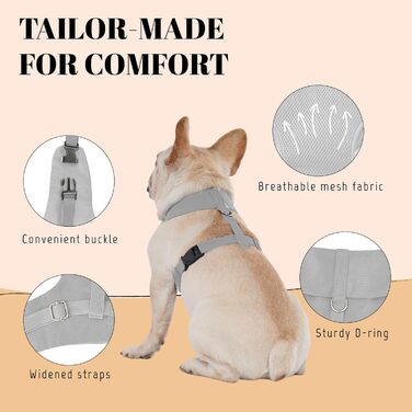 Smoking для собак AVERYDAY: елегантний костюм для свят та фотосесій, з краваткою, для середніх та великих собак (S, сірий + шампань)