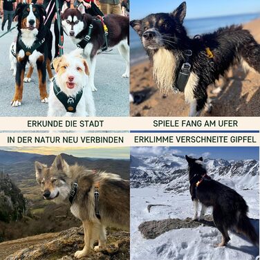 Шлея для собак Nomadog Trailblazer, антивитяг, з м'якою підкладкою та ручкою, регульована, відбиваюча, алюмінієві кільця, для активних собак середніх порід (M)