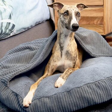 4L Textil Hundebett Vigo з капюшоном: ліжко-печера для собак, ковдра, корзина, ліжко-мішок, подушка з корду, середні породи (Сірий, 90x90x12 см)