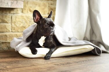 М'яке собаче ліжко з підстілкою кремового та сірого кольорів 110 x 100 см - затишок та спокій для собак завдяки м'якому ліжечку та підстилці для дому та подорожей