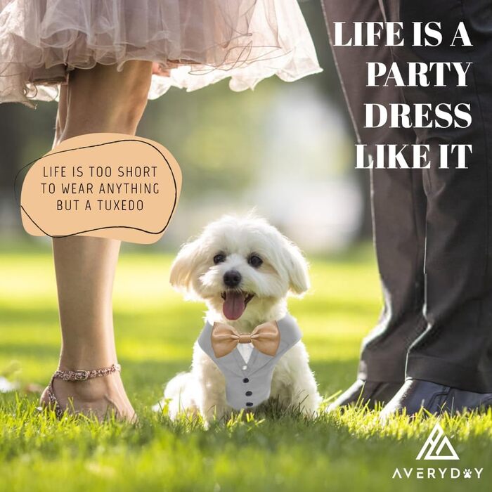 Smoking для собак AVERYDAY: елегантний костюм для свят та фотосесій, з краваткою, для середніх та великих собак (S, сірий + шампань)