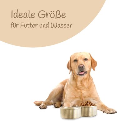 Набір мисок для собак з кераміки (2 шт) об'ємом 400 мл. Миски для маленьких та великих собак з антиковзною основою, придатні для миття в посудомийній машині. Бежевий колір.