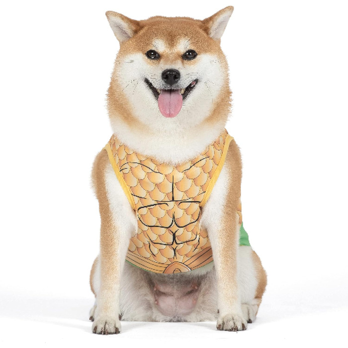 Костюм Аквамена від DC Comics для собак, розмір XL, ліцензійний костюм для собак (багатобарвний)