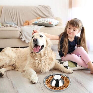 Набір з 3 мисок для собак та котів з нержавіючої сталі, 30 см, для маленьких собак та котів