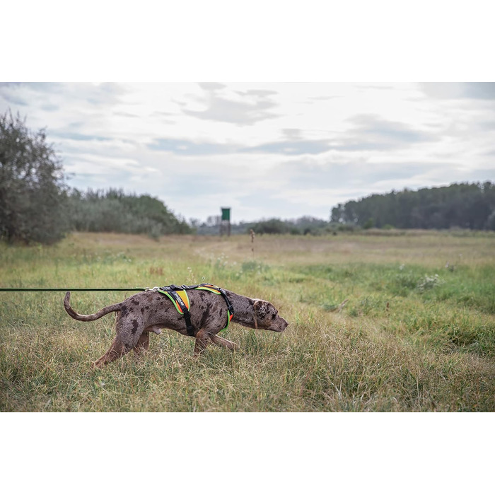 Шлея Julius-K9 для собак, мантрілінг та прогулянки, розмір S, UV-помаранчева з неоновою окантовкою
