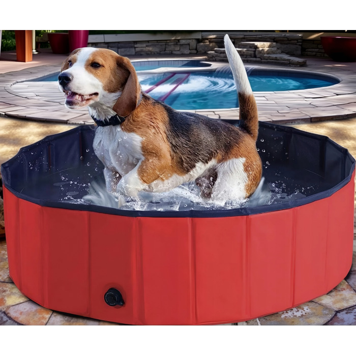 Складальний басейн для собак, червоний, 160 x 30 см, ПВХ