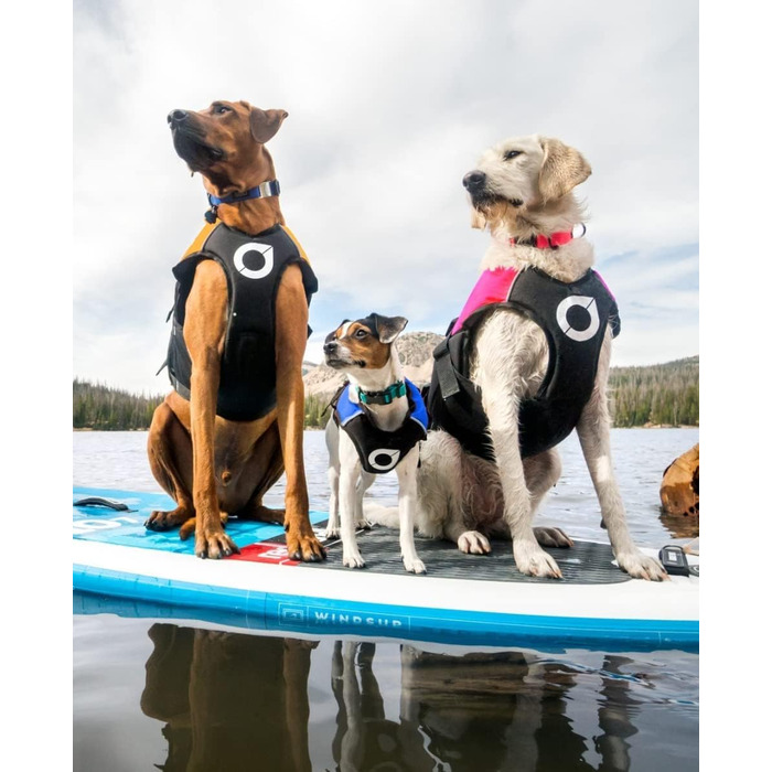 Жилет для собак Stunt Puppy Float Doggy, червоний, розмір Small Wide - безпечний та ергономічний жилет для плавання