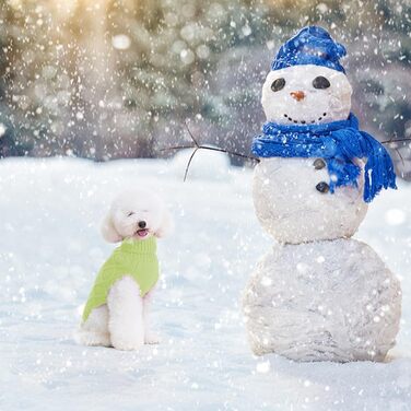 Теплий в'язаний светр Bingpet для собак середніх та великих порід, зимовий одяг для собак та котів, класичний ролkragen з косичками, світло-зелений, розмір Medium