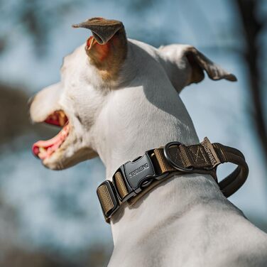 Нашийник для собак OneTigris з металевою застібкою, блакитний, розмір S