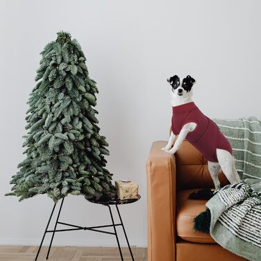 Тіло для собак після операції, захист від лизання, повітропроникний боді для собак після стерилізації/кастрації, рожевий/червоний, XS