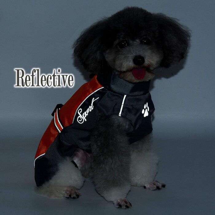 Водонепроникний дощовик для собак Ranphy середнього та великого розміру, з відбиваючими елементами, дихаючий, з захистом живота, для джек-рассел тер'єра, лабрадора, ультралегкий, безпечний, зелений, 6XL, зелено-чорний (3XL(обхват грудей:65см), червоно-чор