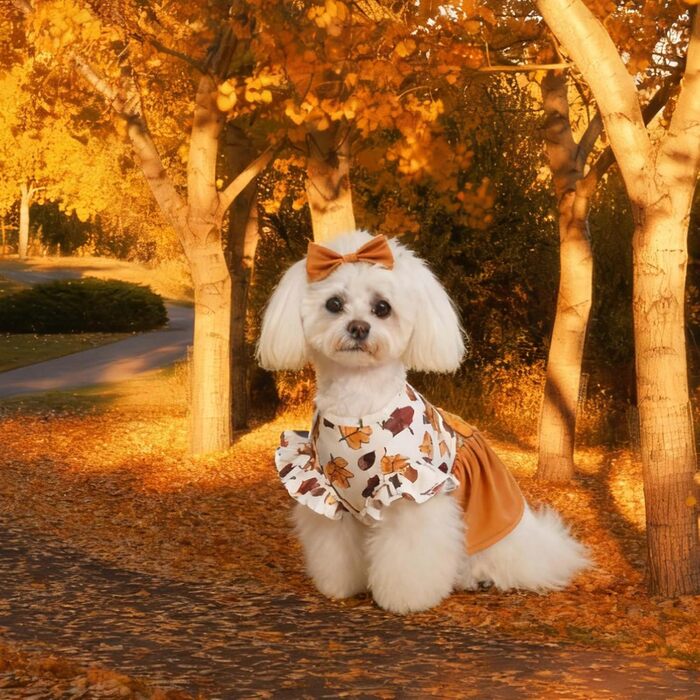 Костюм для собак 