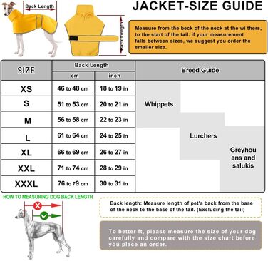 Жаропрочний дощовик для породисті собаки Віндгаунд (M, жовтий) - водонепроникний, легкий, для літа та зими