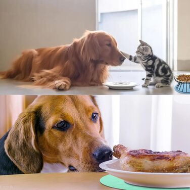 Набір мисок для котів 2 шт. з піднятою платформою, металевий каркас, анти-блювотні миски для котів та кошенят