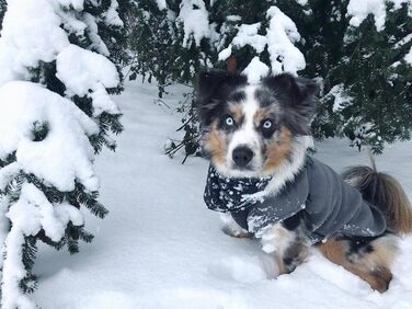 Жилет для собак Gooby з м'якого флісу, сорочка-худі, розмір Small, сірий колір