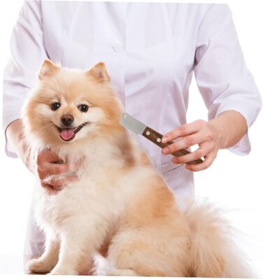 Набір щіток для грумінгу собак Kisangel: 2 шт. для догляду за шерстю, видалення ковтунів. Підходить для собак з довгою та середньою шерстю. Ергономічна ручка з дерева, професійний інструмент.