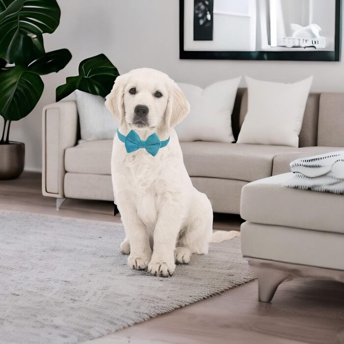 Нашийник для собак Vioett (L, Синій) з фіксуючою фігурою, м'який велюровий матеріал, для великих собак