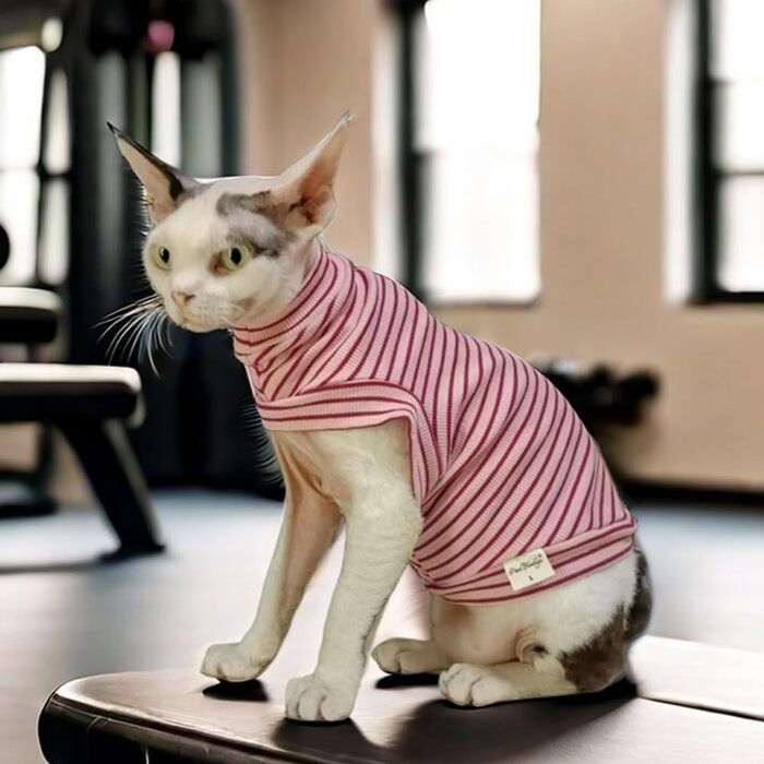 Світшот для безшерстних котів, бавовна, теплий, еластичний, рожевий, розмір S