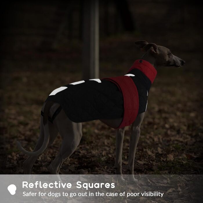 Зимовий теплий дощовик для собак Віндхунд (Whippet) - червоний, з відбиваючими смугами