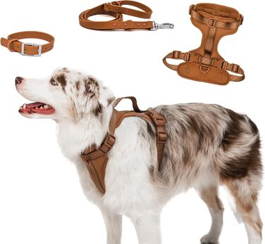 Легка шлейка для собак Easy Walk з ручкою, повідцем і нашийником BearBone, анти-натяжна, для малих, середніх і великих порід