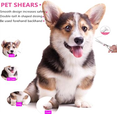 Набір для грумінгу собак: ножиці для шерсті, ножиці для фінальної обробки, гребінець, нержавіюча сталь