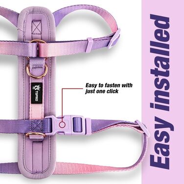 Нашийник для собак середніх порід TSPRO, не тягне, жовто-зелений градієнт, розмір 2 (40-70 см)