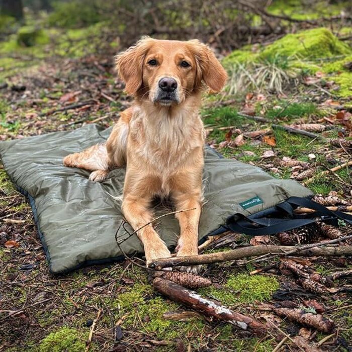 Килимок для собак Rommets Explorer - ультралегкий та водовідштовхувальний | Комфорт та практичність у подорожах | Ідеально для походів, кемпінгу та подорожей