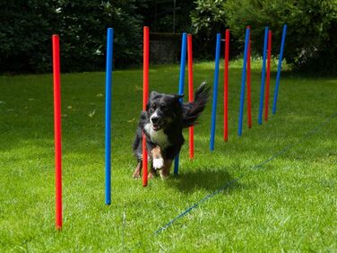 Набір для дресирування собак Agility Set: 12 шлагбаумів червоно-синіх, сумка для перенесення