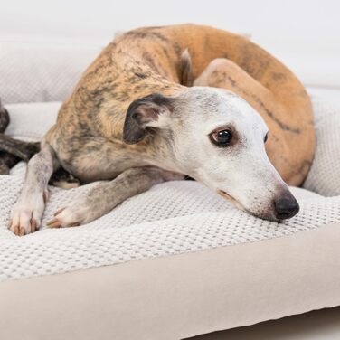 М'яке ліжко для собак 4L Textil Teo, бежеве, 100x80 см. Знімний та пральний чохол, корзина для собак середнього розміру, зручне собаче ліжко.